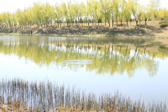 河岸邊