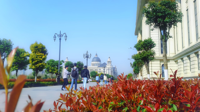 河南農(nóng)業(yè)大學(xué)校園風(fēng)景