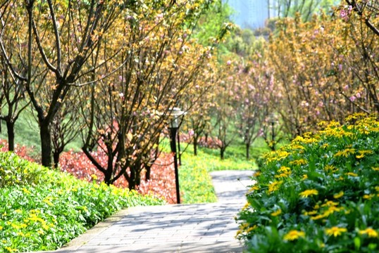 城市花園小道