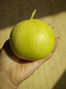 甜瓜