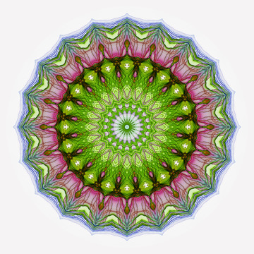 幾何拼花抽象圖案