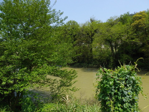 山水風(fēng)景