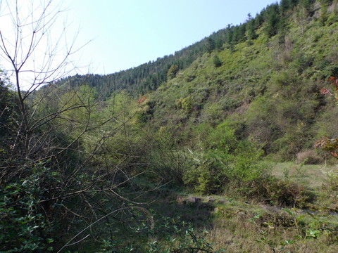 大山天空