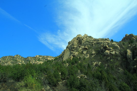 青山