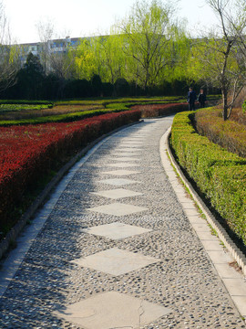 公園小路