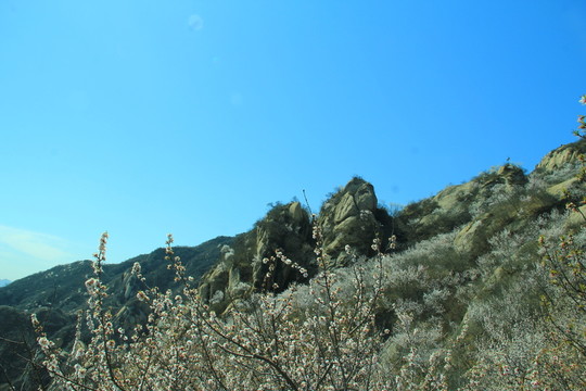 石山