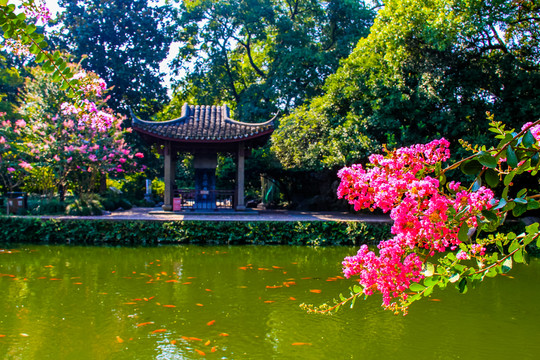 西湖