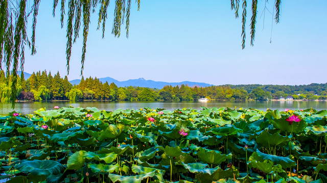 西湖