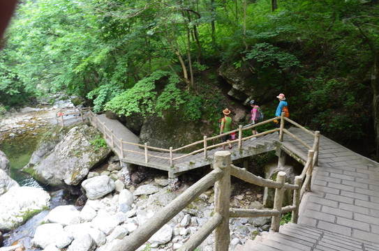 牛背梁國家森林公園