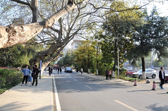 高校道路 校園道路