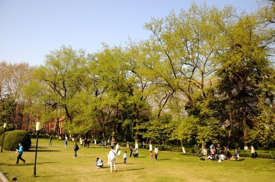 科大校園春色