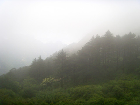 山間霧氣