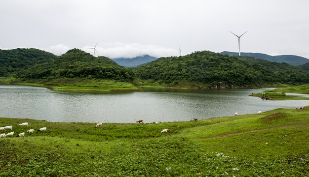 高原河流