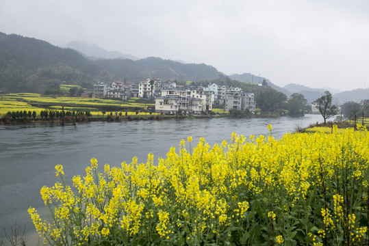 春天的風(fēng)景