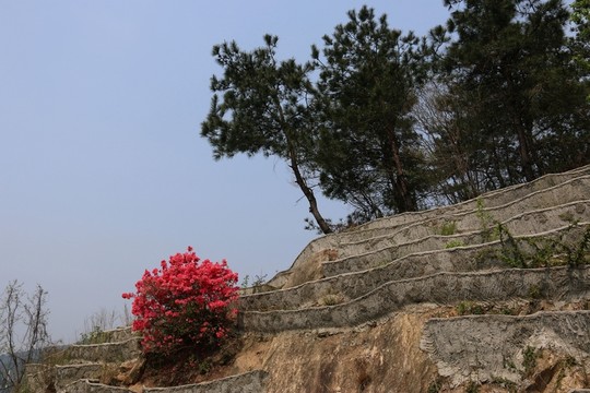 云霧山風(fēng)景