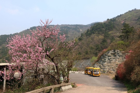 云霧山風(fēng)景