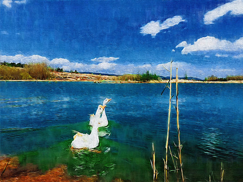 天鵝湖