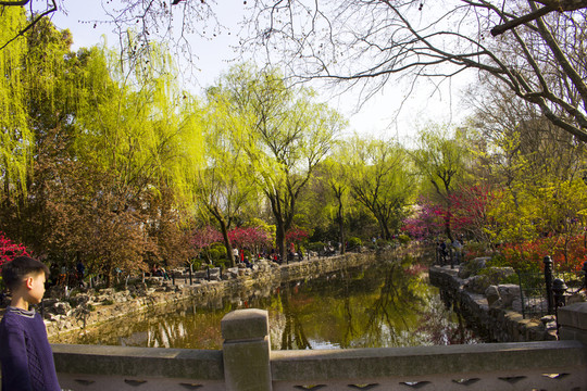 公園攝影
