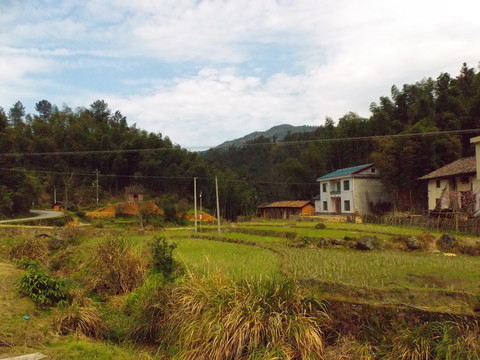 美麗鄉(xiāng)村