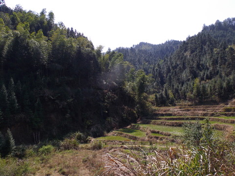 山間田地