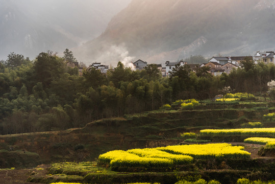 油菜花小路炊煙
