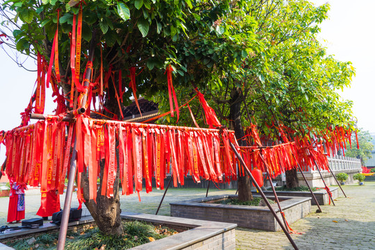 許愿紅絲帶祈福樹(shù)素材