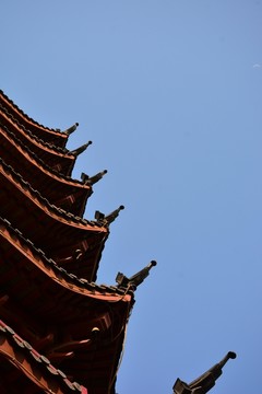 雞鳴寺 雞鳴寺實(shí)拍 雞鳴寺特寫