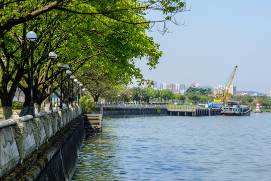 綠樹河岸風景