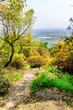 爬山山路