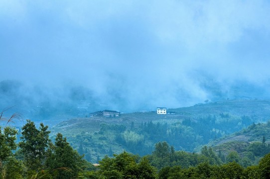 霧色山景