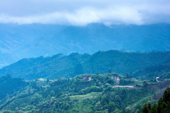 霧色山景