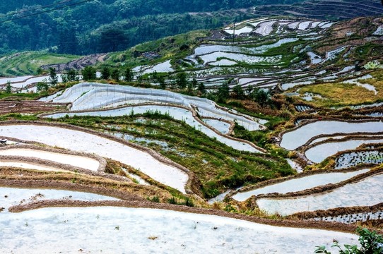 梯田風(fēng)光