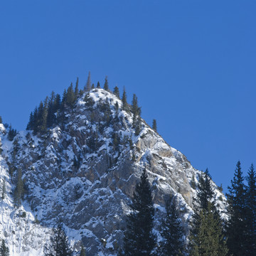 天山森林