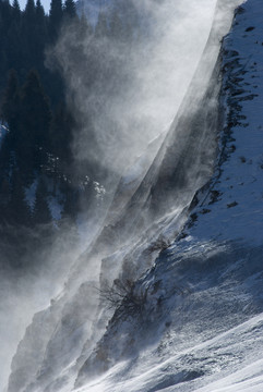 風(fēng)吹雪