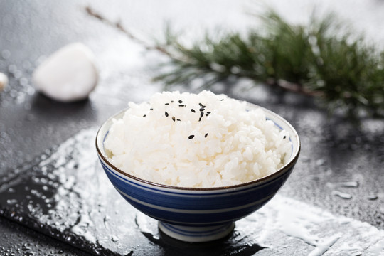 熟米飯
