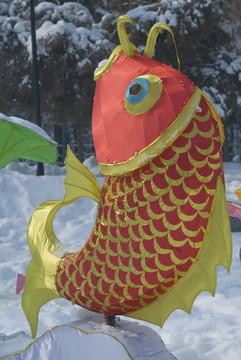 鯉魚(yú)