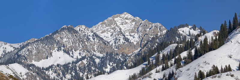 風(fēng)雪天山