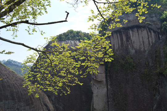 武夷山景區(qū)