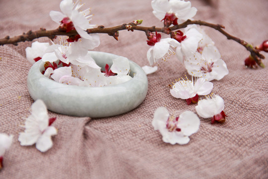 杏花玉鐲古風(fēng)意境攝影圖片素材