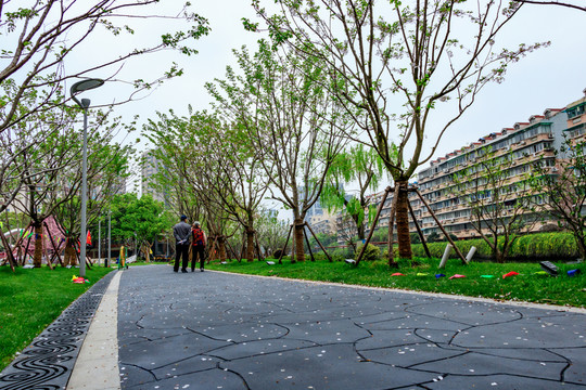 櫻花公園景觀 公園道路