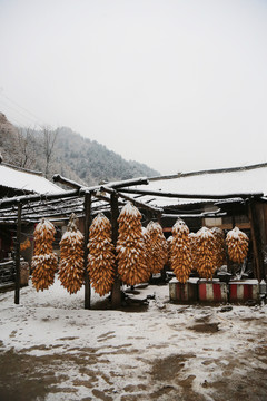 山村雪景