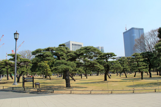 日本東京
