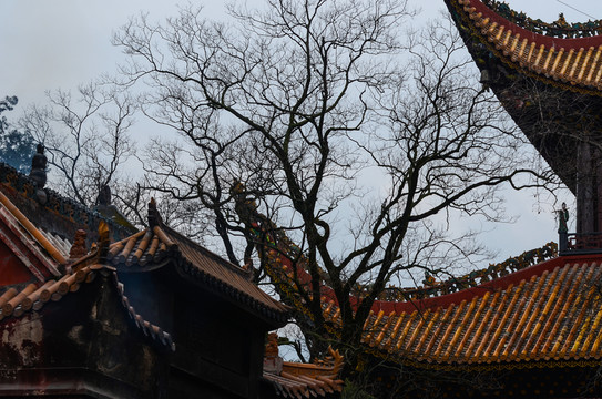 南岳大廟 古建筑