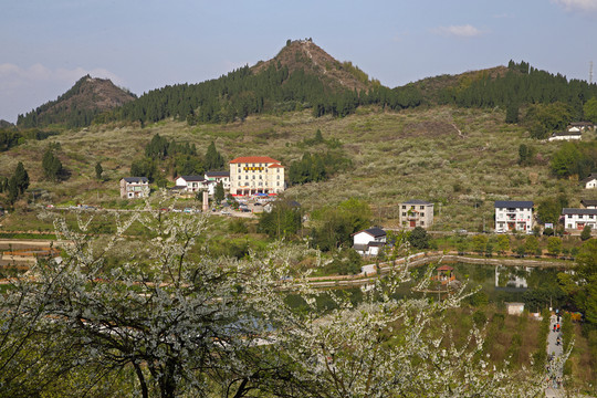 美麗農(nóng)村