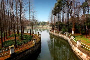 公園 園林 春天