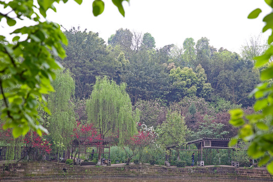 校園景觀設(shè)計(jì)