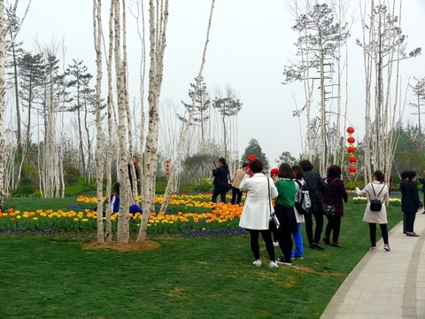 公園游客