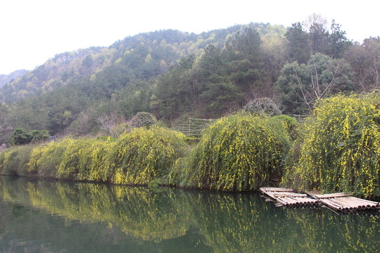竹排倒影遠(yuǎn)景