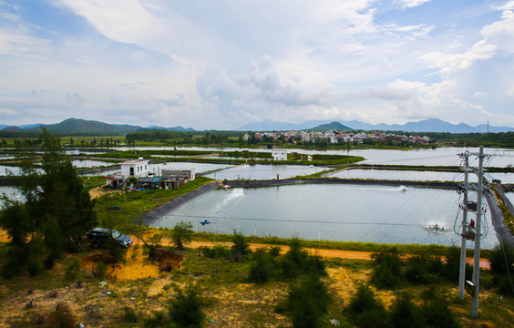 養(yǎng)殖場