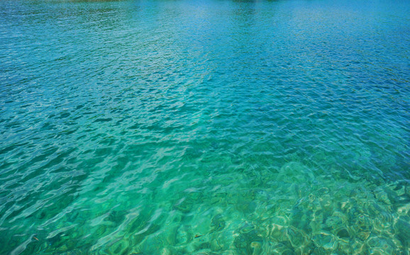 深海迷情